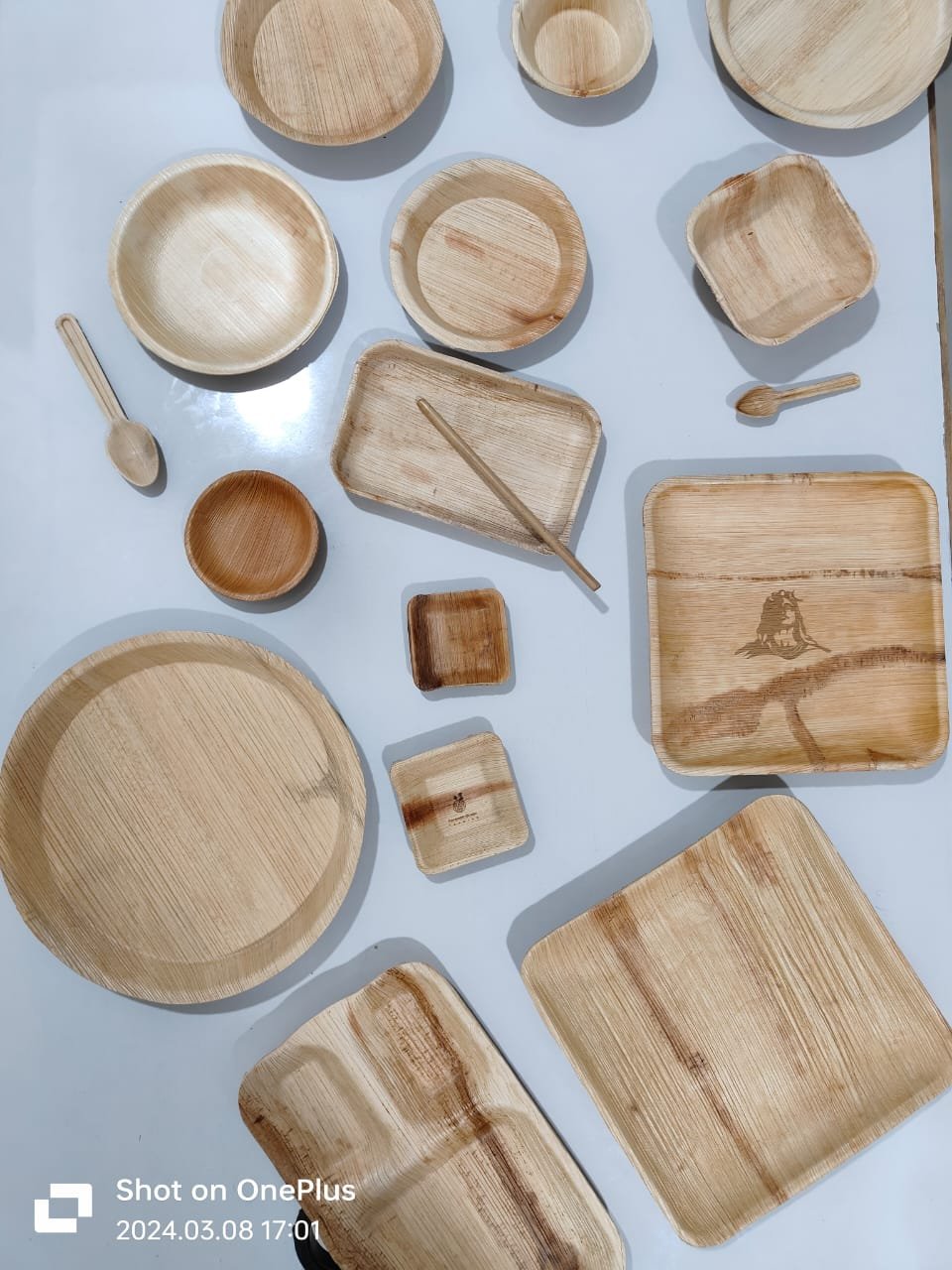 Bagasse Plates Collection